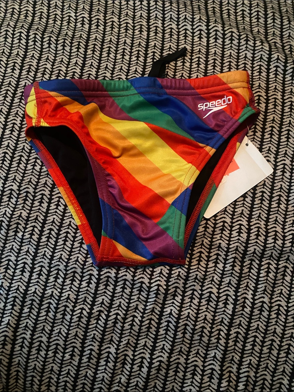 Speedo Multicolor Diagonal Stripe Swim Briefs